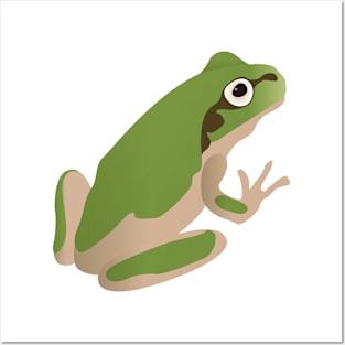 frog Posters and Art